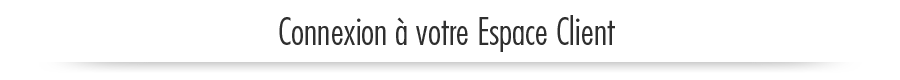 Votre espace client Kast Business
